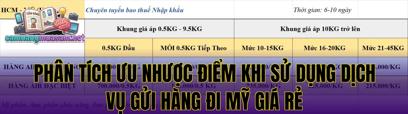 Phân tích ưu nhược điểm khi sử dụng dịch vụ gửi hàng đi Mỹ giá rẻ