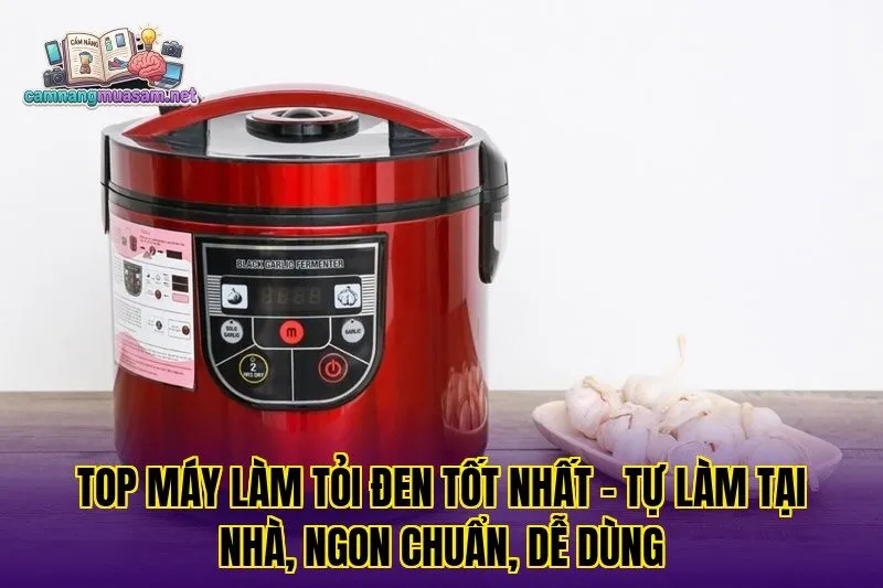 Top máy làm tỏi đen tốt nhất – tự làm tại nhà, ngon chuẩn, dễ dùng