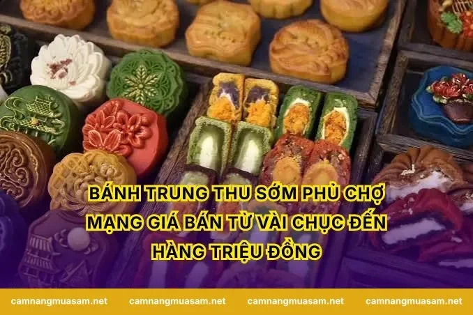 Bánh trung thu sớm phủ chợ mạng giá bán từ vài chục đến hàng triệu đồng