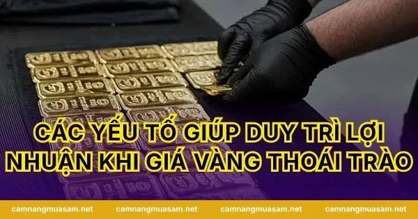 Các yếu tố giúp duy trì lợi nhuận khi giá vàng thoái trào