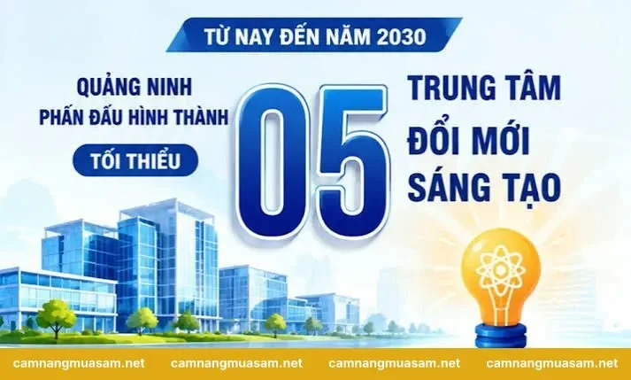 Tác động sâu rộng của hệ sinh thái sáng tạo đối với kinh tế địa phương